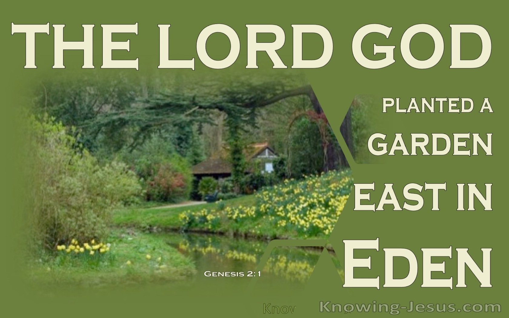 Genesis 2:8 The LORD God Planted A Garden (yellow)